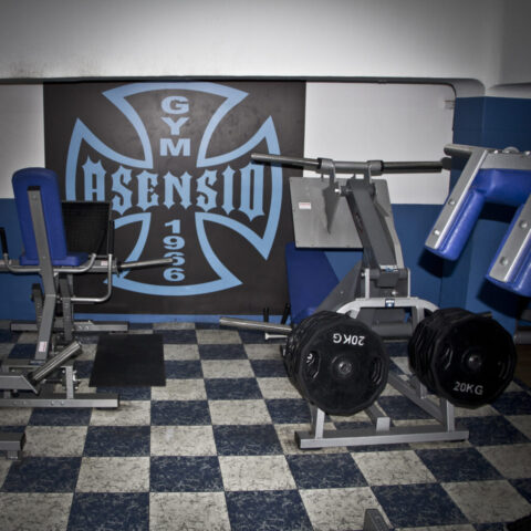 CARLOS ASENSIO "Interior Gimnasio Asensio"– VALLILUSTRES – 31 JULIO 2012